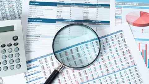 This course discusses each of the main financial statements