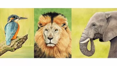Learn Pastel Pencil Techniques and Create Stunning Wild Animal Painitngs