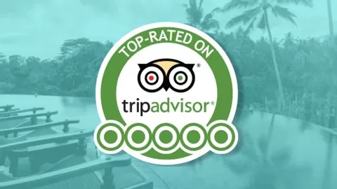 Hotel Management: Improve Your TripAdvisor Ranking And get more Customers in 2021