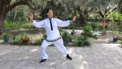 An intensive course for Seniors who would like to learn Tai Chi