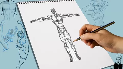 Lean very simple tips to improve your anatomy drawing skills