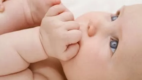 Help your Baby's Development