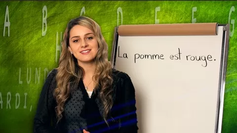 LEARN FRENCH NOW!