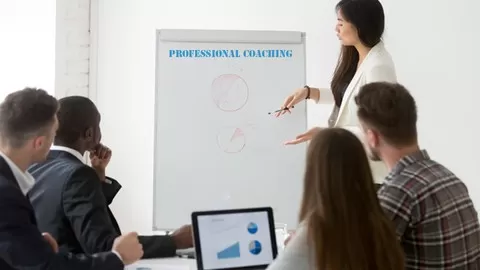 The Roadmap to Executive Coaching and Entrepreneurship Development