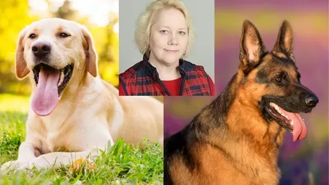 Dog; Dog Breeds; Dog Training; Choose Your Breed Of Dog And Train Your Dog