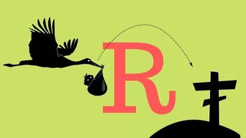 Learn the basics of R programming