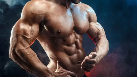 The science behind hypertrophy training (bodybuilding) and programming