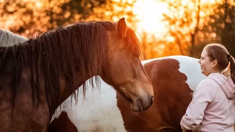 The first step towards Expanding Consciousness with Horses