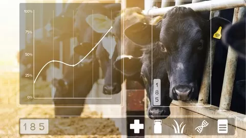 Discover the Impact of Industry 4.0 on the Livestock and the Poultry Industry