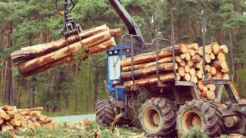 Understand the Forestry Industry in Industry 4.0