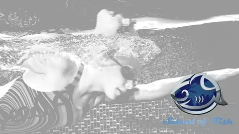 Learn the Progression for all swimming strokes and skills with the three levels: Barracuda