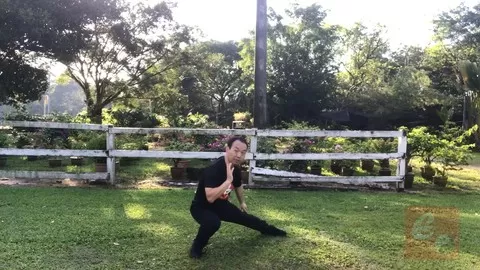 A Detailed Chen Style Tai Chi
