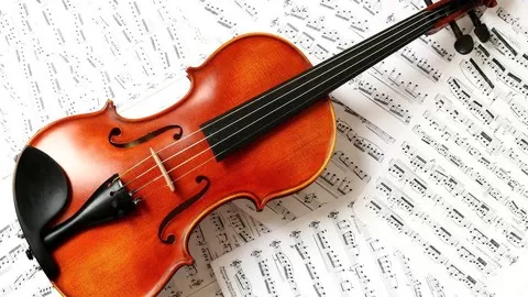 Learn to play violin from scratch