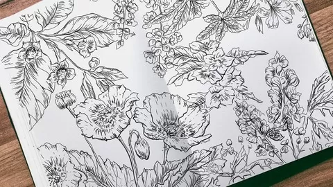 The ultimate guide to help you draw botanical line illustrations in pen.