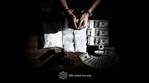 In the shadows: how organized crime (the cartels
