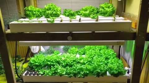 A simple way to grow your own produce year-round in your home or greenhouse using hydroponics