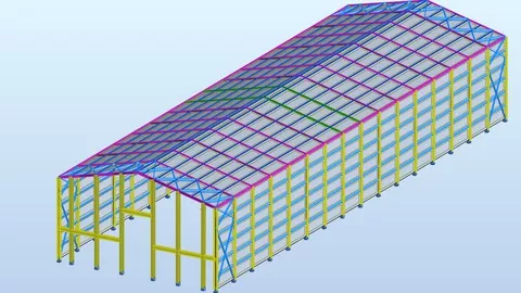 Autodesk Robot Steel Structure Modeling Analysis and Design Advanced course with all structural steel element