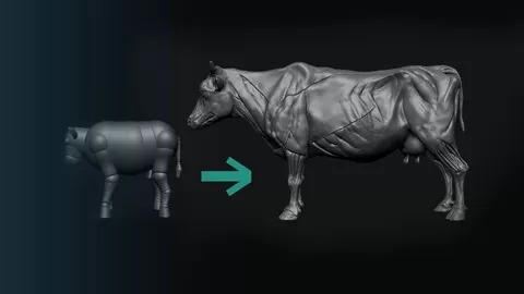 Learn anatomy sculpting in ZBrush with this course and improve your creature/animal sculpting skills.