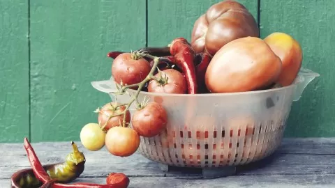 Learn how to grow your own nutrient dense and organic vegetables in your garden and turn them into probiotic food.