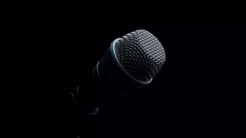 Dr. Roy Naraine’s supreme public speaking guide will 10x your presentation skills & help you capture the audience.