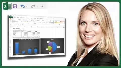 Learn how to effectively use Microsoft Excel 2013 in real-life business scenarios.