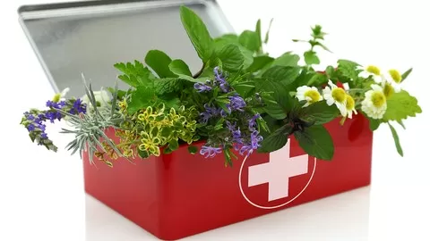 Be prepared by equipping your first aid kit with important herbs