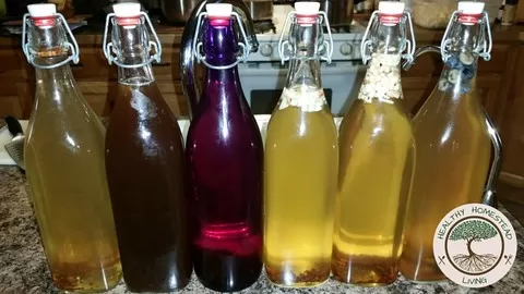 Enjoy the Nutritional Benefits and save money by making Kombucha yourself.