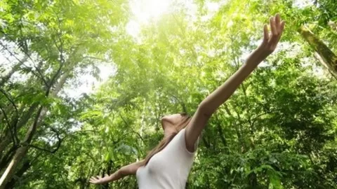 How Yoga Nidra and Nature Help Us Destress and Live with Clarity