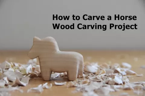 In this short and fun class I will help you to get acquainted with the basics of whittling. I will walk you through the things you need to get started and th...