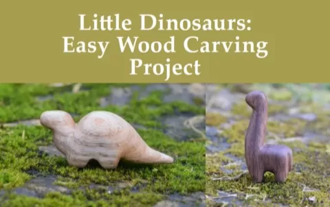 In this class I will teach you how to sketch and then carve tiny and cute dinosaurs. This is an ideal project for beginners (however