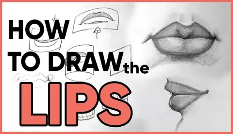 This is a step by step drawing tutorial lesson on drawing lips. The lips and mouth are part of a complete portrait so they are important to learn.Made for be...