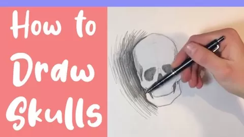 In this class you’ll learn how to draw the skull in its’ most basic forms and angles. We will start by looking at materials