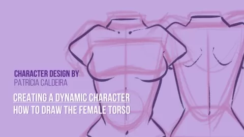 Learn how todraw theFemale Torso!