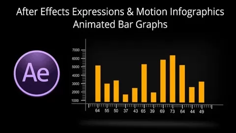 This is a unique course about Expressions while building animated infographics.