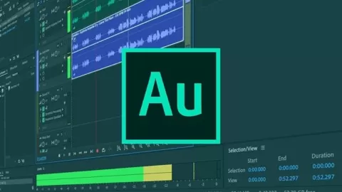 Adobe Audition is one of the best Audio software where you can Record