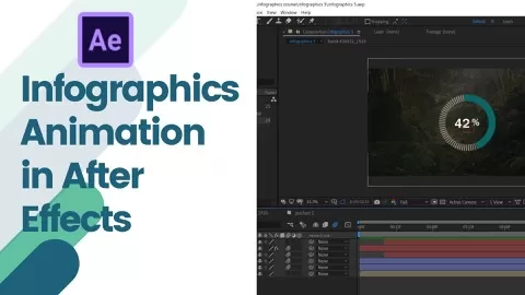 Hi my name is Nshuti PaulinI’mMotion graphicsDesigner and I love To Teach Animation Specialty in Adobe After Effects And this is Infographics Animation in Af...