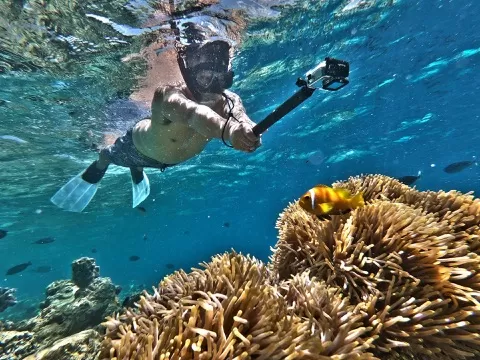 In this course you're going to learn how to make the most of the latest Gopro products to film amazing Videos with veteran Travel Videographer Greg Hung and ...