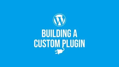 If you are a beginner to intermediate WordPress developer
