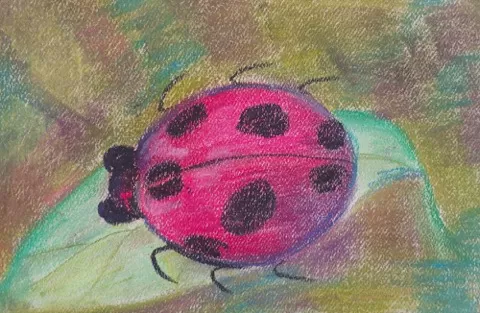 Learn all about chalk pastels by creating two projects a ladybug and an owl. By following the step-by-step process you will be able to have a finishedbright ...