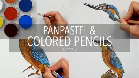 Coloring with colored pencils can take a lot of time. If you use Panpastel for the underpainting you will be able to color twice as fast as before!