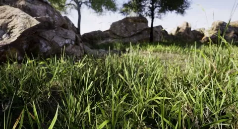 Create a photorealistic grassy field in this course with Daniel Krafft
