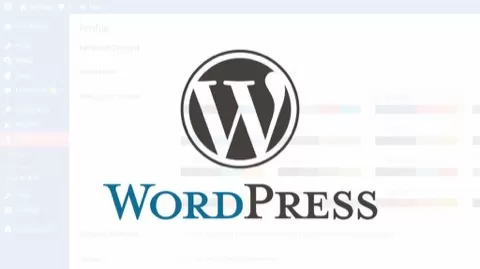 In this class you'll learn how to create yourprofessional wordpress blog for free of cost. Yes you don't spend anything to create you ownprofessional wordpre...
