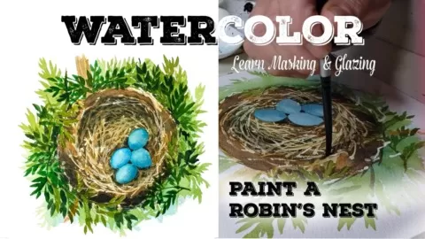 This is a watercolor classwill teach you how to paint complex areas in watercolors such as a bird's nest using masking fluid and glazing.Creating depth of c...