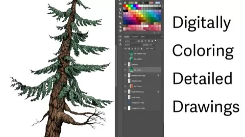 Artist and teacher Leigh Ann Rooney will guide you through creating colorful and detailed illustrations. This course focuses on coloring detailed hand-drawn ...