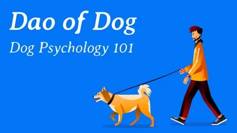 Embark on an adventure through the mind of a dog so you can learn how they think!