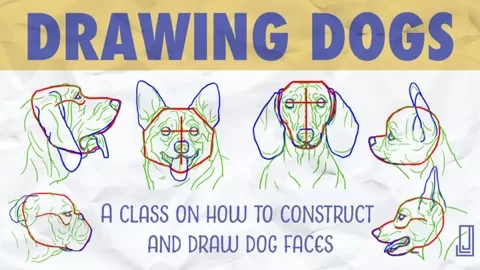 This class is for anyone who wants to learn how to construct and draw a dog faces
