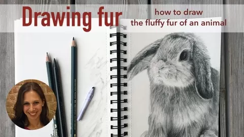 When drawing wooly animals it’s all about fur. In this class you are going to learn how to draw different styles of animal hair - from short to long and shag...