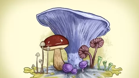 Learn the way mushrooms are put together and how to express yourself through your very own mushroom art.Lovers of fungi will enjoy this class for its combina...