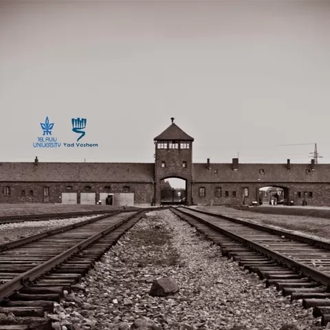 The Holocaust - An Introduction (II): The Final Solution