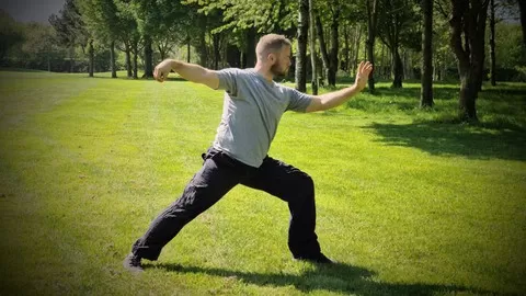 A specially selected 6 week Tai Chi course to teach you the fundamentals of this beautiful